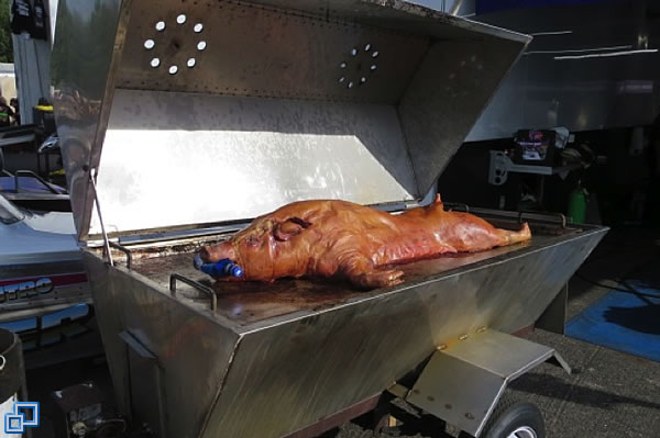 Pig roast in the pits tonight.